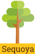 sequoya